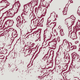 Illustration for article titled You Can Make Beautiful Abstract Art With The Google Maps API